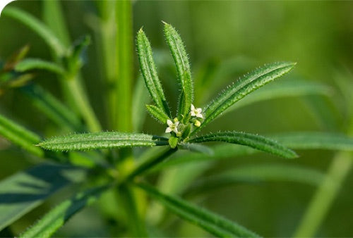 Cleavers