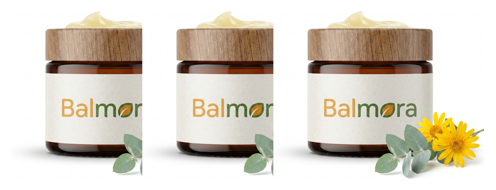 balmora bundle-3.png